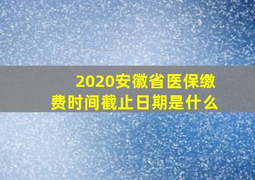 2020安徽省医保缴费时间截止日期是什么