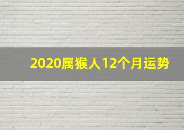 2020属猴人12个月运势