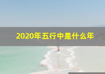 2020年五行中是什么年