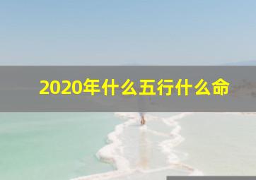 2020年什么五行什么命