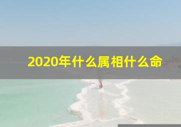 2020年什么属相什么命