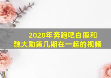 2020年奔跑吧白鹿和魏大勋第几期在一起的视频