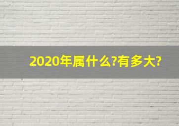 2020年属什么?有多大?