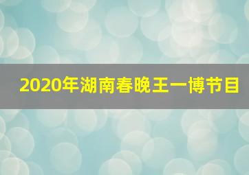 2020年湖南春晚王一博节目