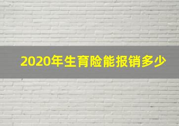 2020年生育险能报销多少