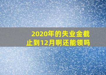 2020年的失业金截止到12月啊还能领吗