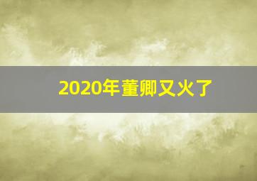 2020年董卿又火了