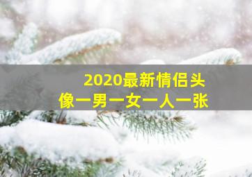 2020最新情侣头像一男一女一人一张