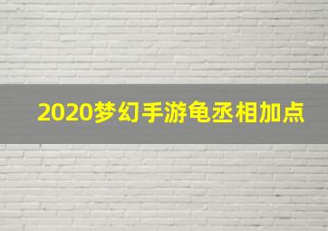 2020梦幻手游龟丞相加点