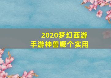 2020梦幻西游手游神兽哪个实用