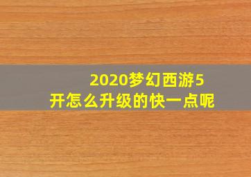 2020梦幻西游5开怎么升级的快一点呢