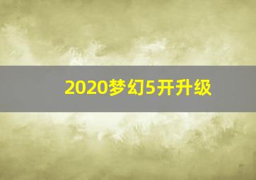 2020梦幻5开升级