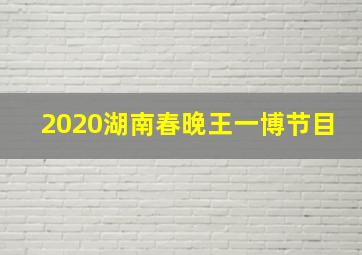 2020湖南春晚王一博节目