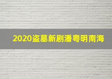 2020盗墓新剧潘粤明南海