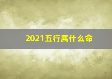 2021五行属什么命