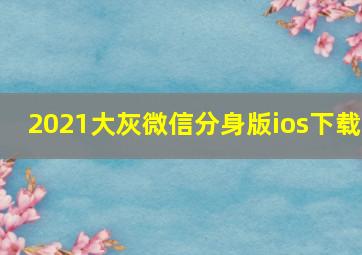 2021大灰微信分身版ios下载