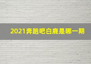 2021奔跑吧白鹿是哪一期