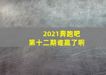 2021奔跑吧第十二期谁赢了啊