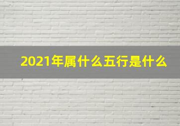 2021年属什么五行是什么