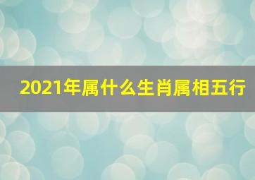 2021年属什么生肖属相五行