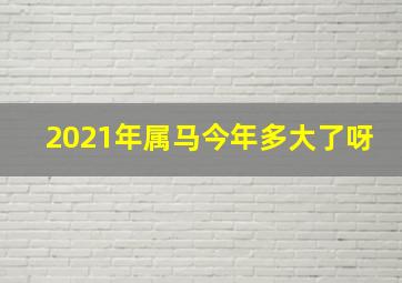 2021年属马今年多大了呀