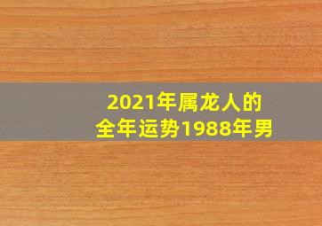 2021年属龙人的全年运势1988年男