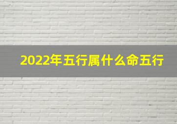 2022年五行属什么命五行