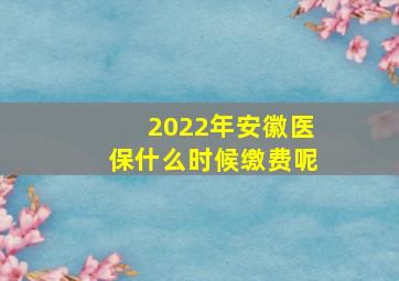 2022年安徽医保什么时候缴费呢