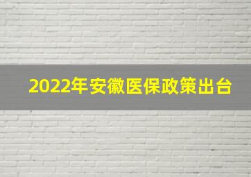 2022年安徽医保政策出台