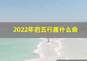 2022年的五行属什么命