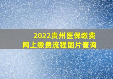 2022贵州医保缴费网上缴费流程图片查询