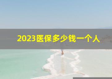 2023医保多少钱一个人