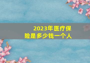 2023年医疗保险是多少钱一个人