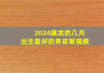 2024属龙的几月出生最好的男孩呢视频