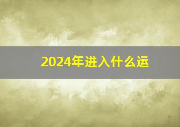 2024年进入什么运