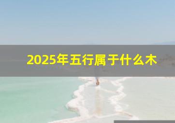 2025年五行属于什么木