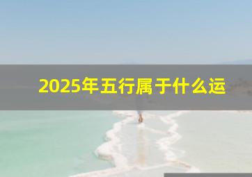 2025年五行属于什么运