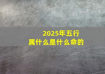 2025年五行属什么是什么命的