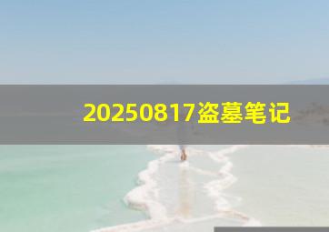 20250817盗墓笔记