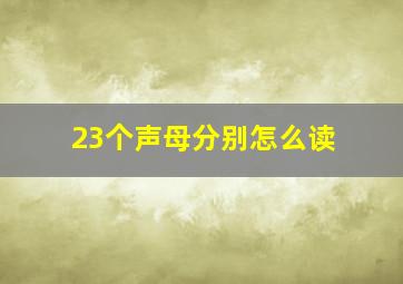 23个声母分别怎么读