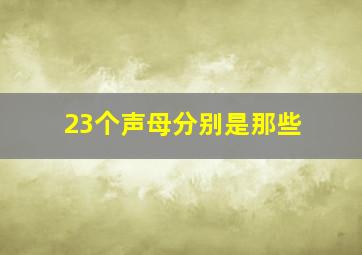 23个声母分别是那些