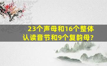 23个声母和16个整体认读音节和9个复韵母?