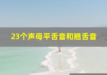 23个声母平舌音和翘舌音