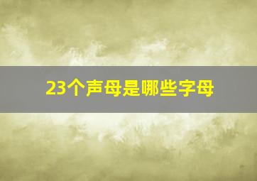 23个声母是哪些字母