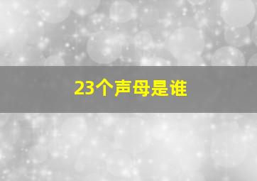 23个声母是谁