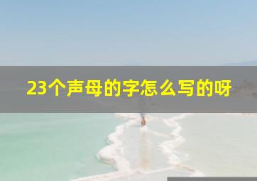 23个声母的字怎么写的呀