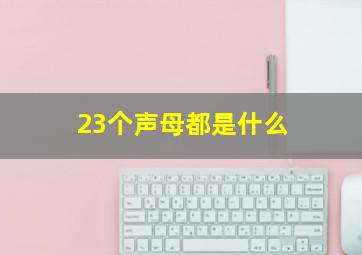 23个声母都是什么