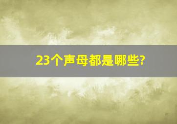 23个声母都是哪些?