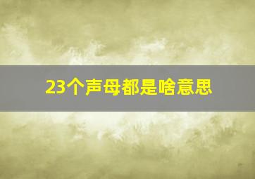 23个声母都是啥意思