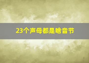 23个声母都是啥音节